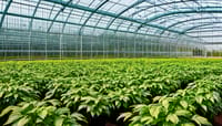 如何有效使用溫室氣體盤查工具來減少碳足跡