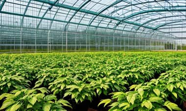 如何有效使用溫室氣體盤查工具來減少碳足跡