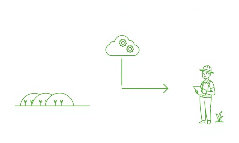 數據從田間到決策的流程示意